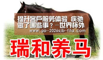 世界杯买球网站