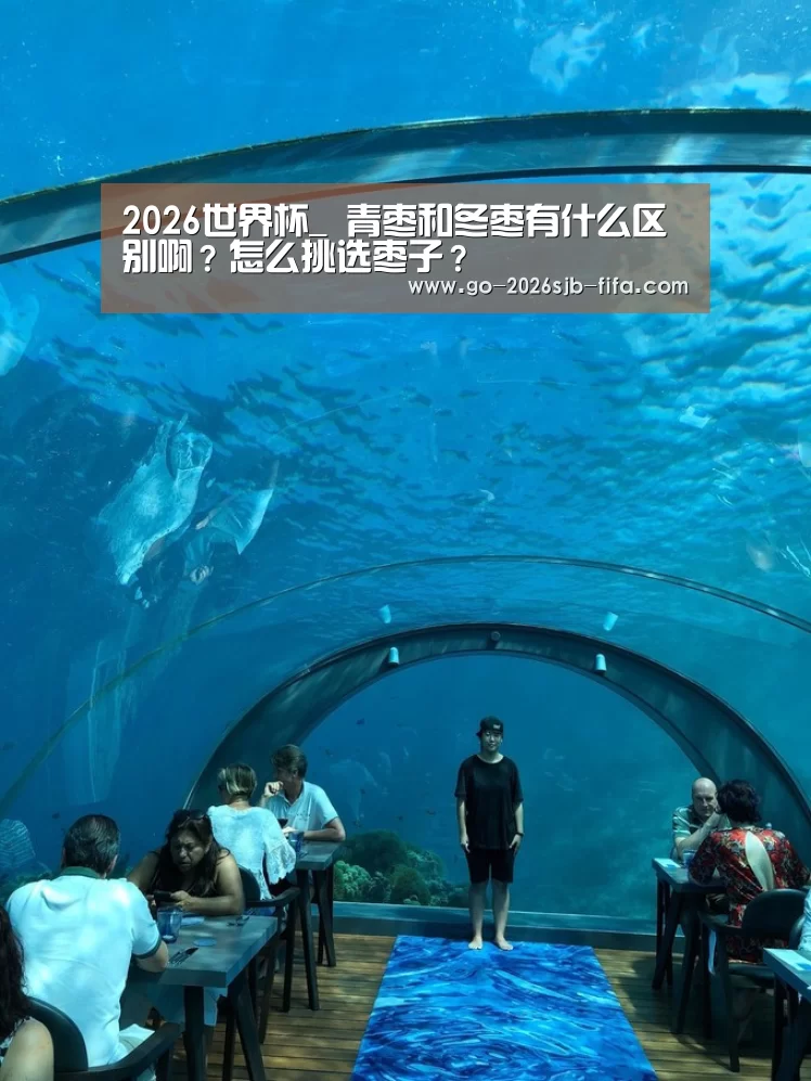 世界杯买球网站
