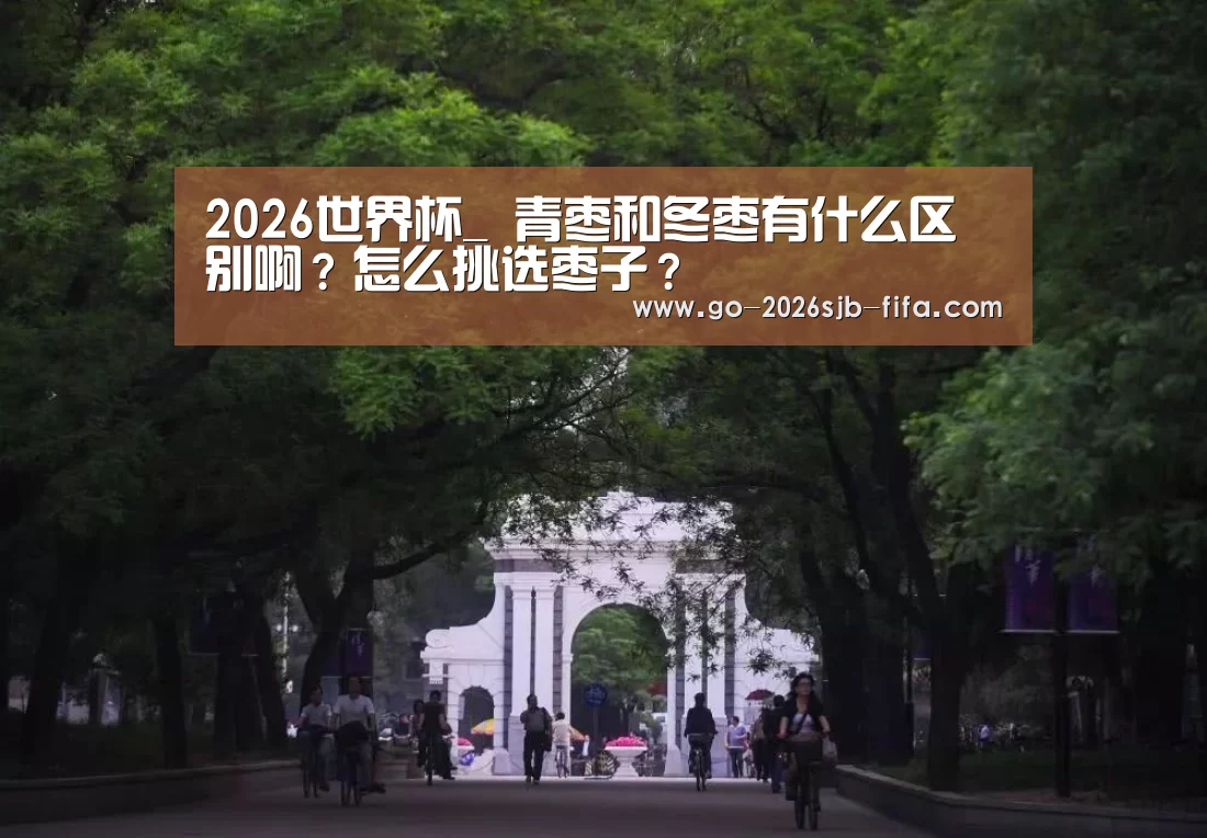 世界杯投注