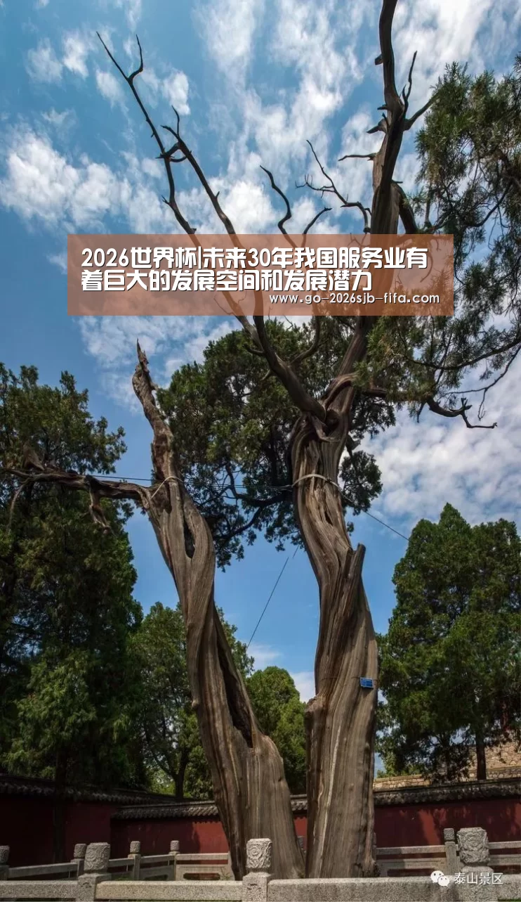 世界杯投注
