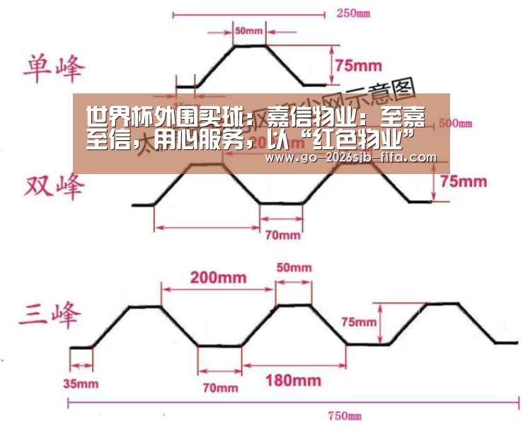 世界杯买球网站