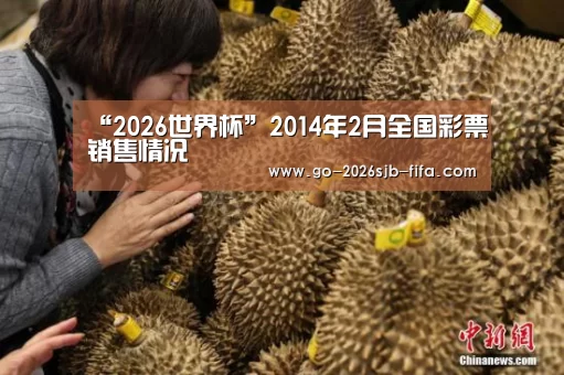 2026世界杯