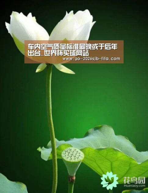 世界杯投注