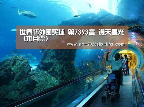 世界杯外围买球