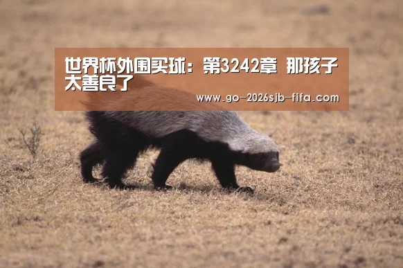 世界杯外围买球