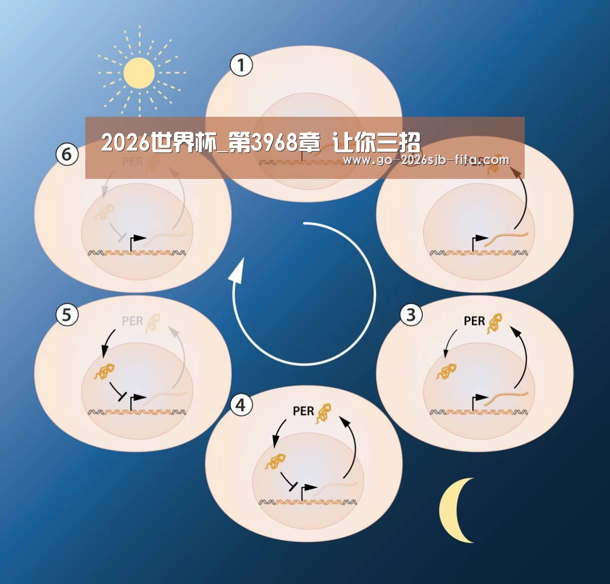 世界杯投注