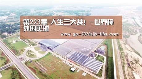 第223章 人生三大共!-世界杯外围买球(图2) 2026世界杯